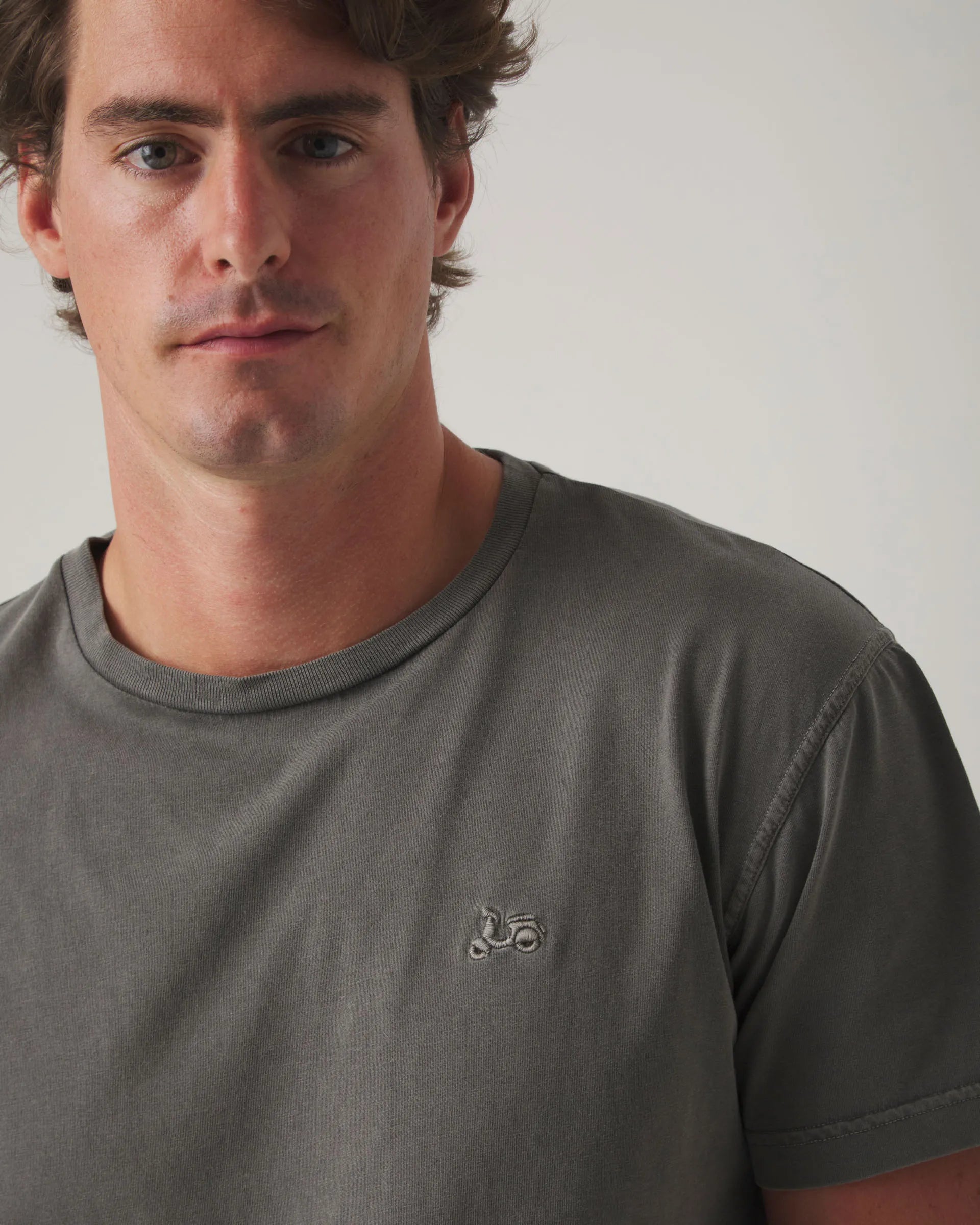 Camiseta gris básica con logo