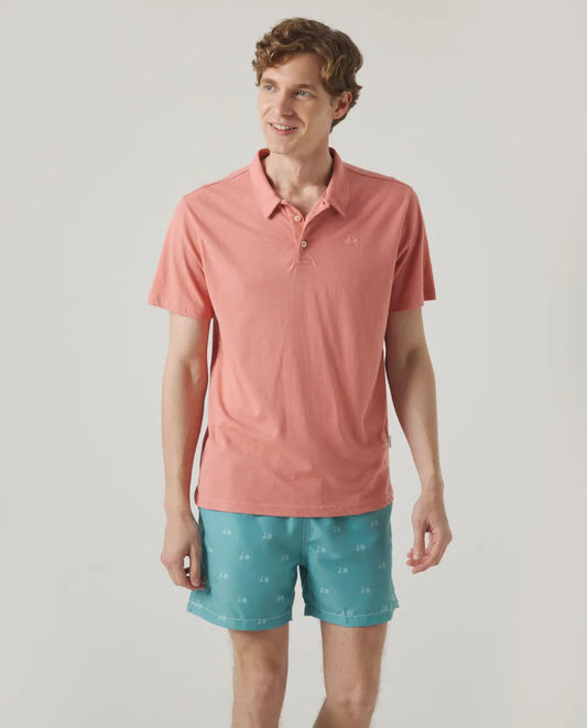 Polo Lico Teja