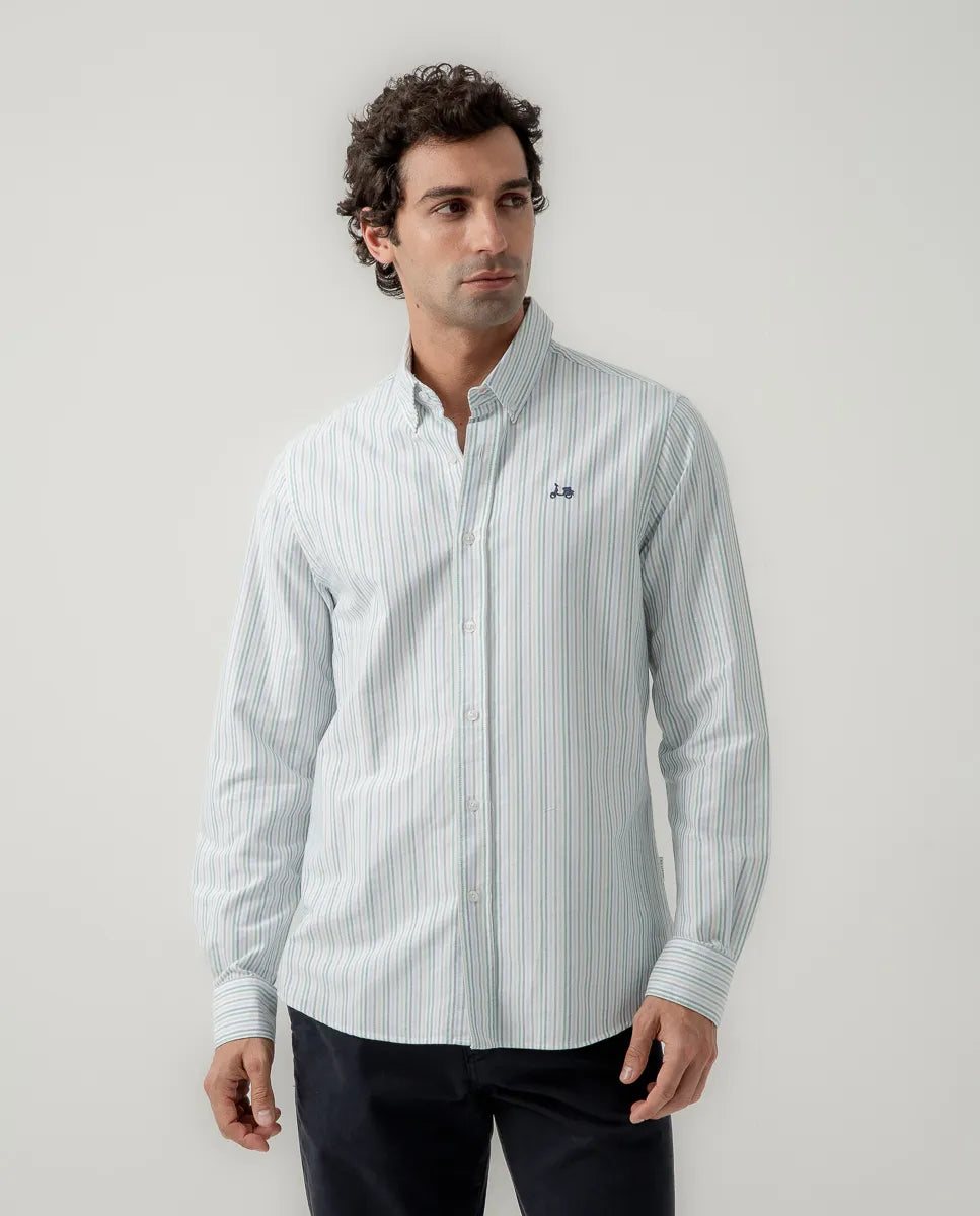 Camisa Oxford multi rayas verde | SCOTTA