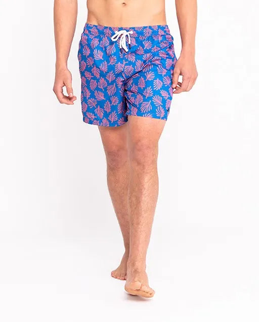 Traje de baño algas azulon